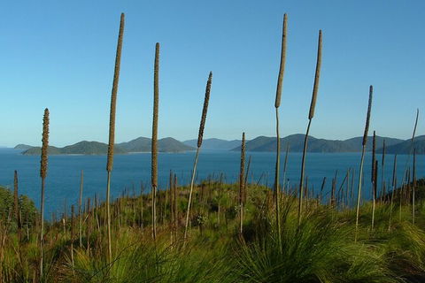 7-Day Private Sea Kayaking In Whitsundays - South Australia Travel 8