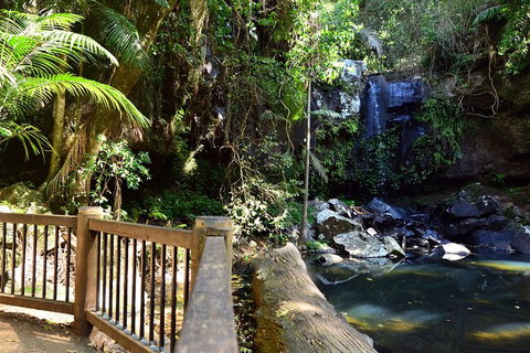 Half-Day Private Tour To Tamborine Mountain With Wine Tasting - Up To 6 People - South Australia Travel 3