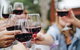 Half-Day Private Tour To Tamborine Mountain With Wine Tasting - Up To 6 People - thumb 2