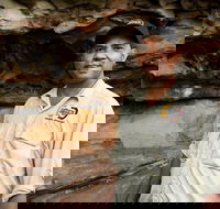 Half Day Aboriginal Rock Art Experience in Queensland - South Australia Travel