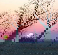 8-Day Outback Experience from Queensland - South Australia Travel