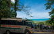 World Heritage Highlights: Reef/Daintree/Cape Tribulation - thumb 7
