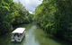 World Heritage Highlights: Reef/Daintree/Cape Tribulation - thumb 1
