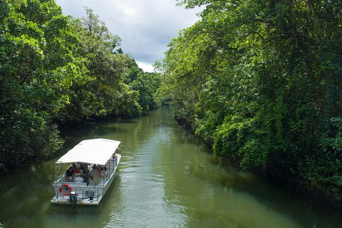 World Heritage Highlights: Reef/Daintree/Cape Tribulation - South Australia Travel 1