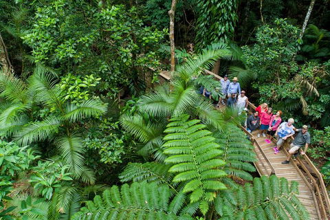World Heritage Highlights: Reef/Daintree/Cape Tribulation - South Australia Travel 3