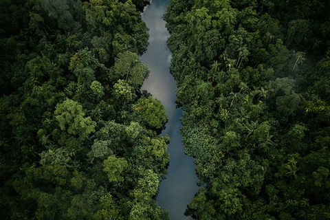 World Heritage Highlights: Reef/Daintree/Cape Tribulation - South Australia Travel 10