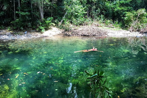 World Heritage Highlights: Reef/Daintree/Cape Tribulation - South Australia Travel 4