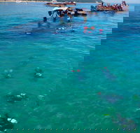 Adventure Moreton Island Scuba Dive Tour - South Australia Travel