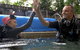 Scuba Kids- Padi Bubblemaker Course - thumb 3