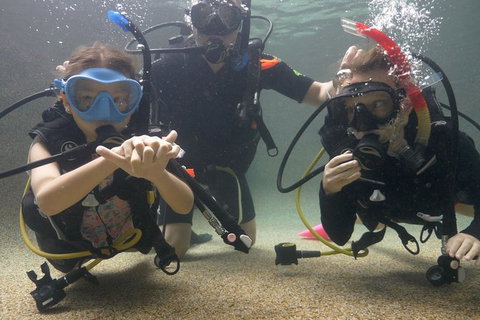 Scuba Kids- Padi Bubblemaker Course - South Australia Travel 4