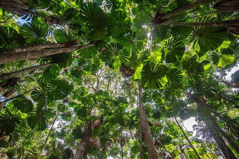 5 Day Australia Retreat: Queensland Daintree - South Australia Travel 4