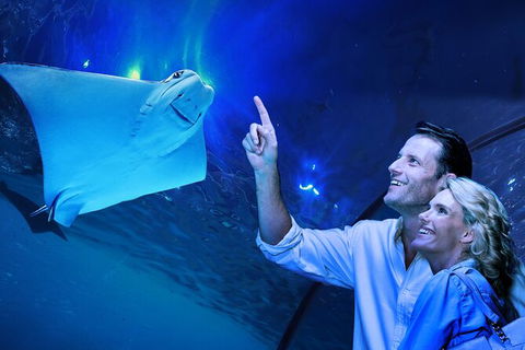 Cairns Aquarium Tour By Twilight With Drink And Appetiser - South Australia Travel 0