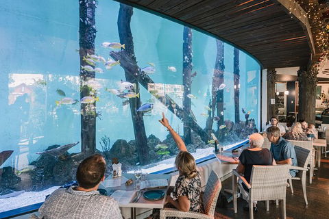 Cairns Aquarium Tour By Twilight With Drink And Appetiser - South Australia Travel 1