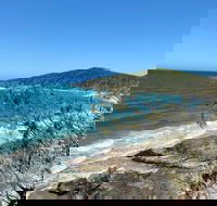 Full-Day Tour of Noosa Sunshine Coast and Eumundi Markets - South Australia Travel