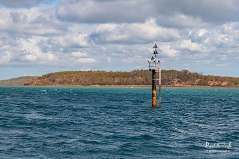 Sandy Straits Scenic & Wildlife Cruise - South Australia Travel 6
