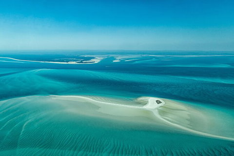 Sandy Straits Scenic & Wildlife Cruise - South Australia Travel 5
