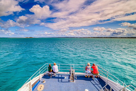 Sandy Straits Scenic & Wildlife Cruise - South Australia Travel 7