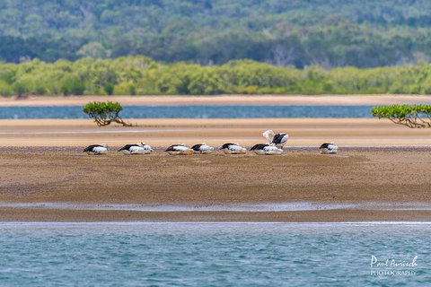 Sandy Straits Scenic & Wildlife Cruise - South Australia Travel 3