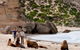 Kangaroo Island Scenic Trail Tour - thumb 1