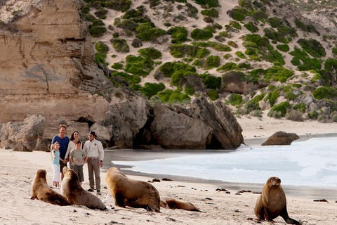 Kangaroo Island Scenic Trail Tour - South Australia Travel 1