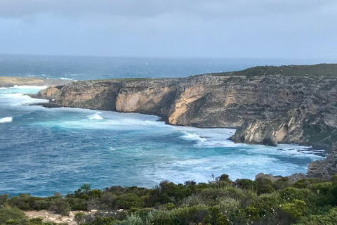 Kangaroo Island Scenic Trail Tour - South Australia Travel 4