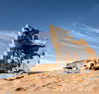 Kangaroo Island Luxury Small Group 'Flinders Chase Focus' Full Day Tour - South Australia Travel