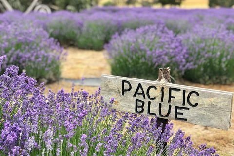 Kangaroo Island Food And Wine Trail Tour - South Australia Travel 2