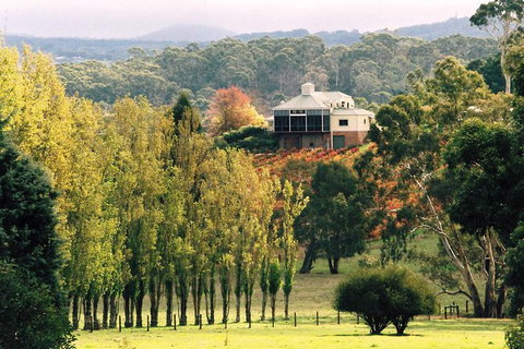 Adelaide Hills Wine Tour - South Australia Travel 0