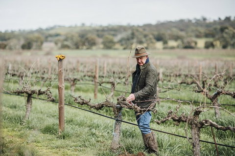 Armagh Vineyard Exclusive Wine Experience And Lunch - South Australia Travel 0