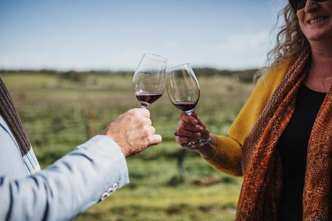 Armagh Vineyard Exclusive Wine Experience And Lunch - South Australia Travel 1