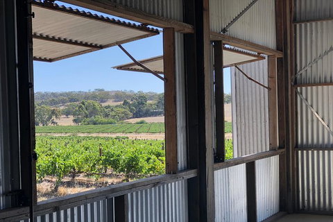 Armagh Vineyard Exclusive Wine Experience And Lunch - South Australia Travel 5