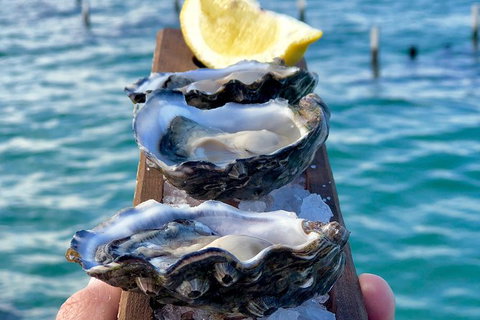 Coffin Bay Oysters, Ocean & Nature Tour - South Australia Travel 0