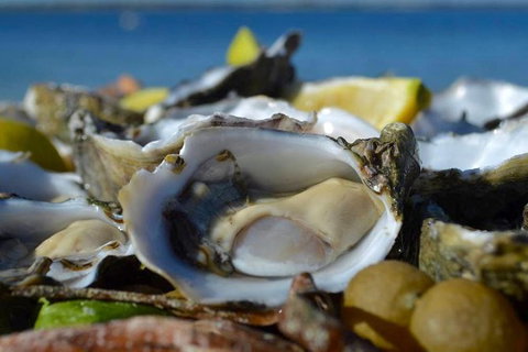 Coffin Bay Oysters, Ocean & Nature Tour - South Australia Travel 8
