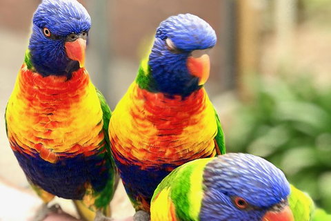 Coffin Bay Oysters, Ocean & Nature Tour - South Australia Travel 9