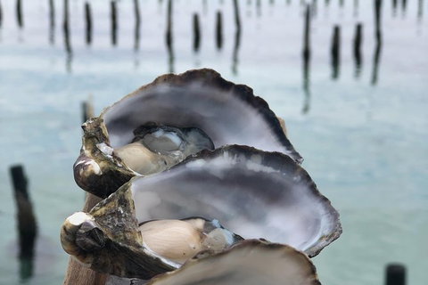 Coffin Bay Oysters, Ocean & Nature Tour - South Australia Travel 6