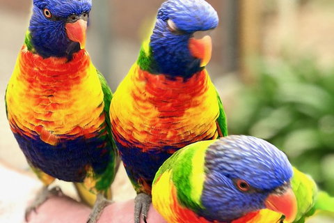 Coffin Bay Oysters, Ocean & Nature Tour - South Australia Travel 1