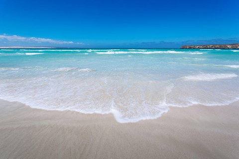 Coffin Bay Oysters, Ocean & Nature Tour - South Australia Travel 14