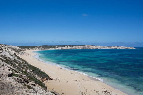 Coffin Bay Oysters, Ocean & Nature Tour - South Australia Travel 16