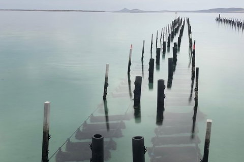 Coffin Bay Oysters, Ocean & Nature Tour - South Australia Travel 15