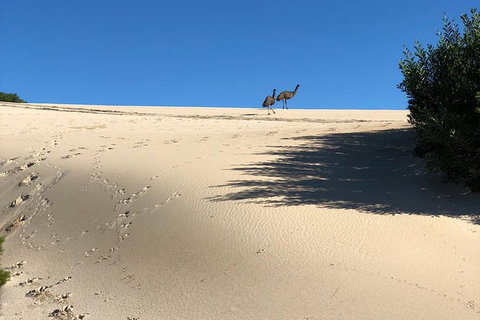 Coffin Bay Oysters, Ocean & Nature Tour - South Australia Travel 4