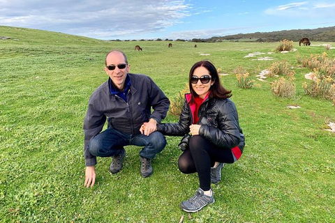 Kangaroo Island 4WD - Seal Bay - South Australia Travel 5