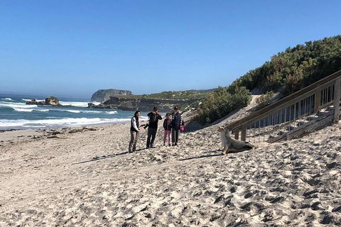 Kangaroo Island 4WD - Seal Bay - South Australia Travel 2