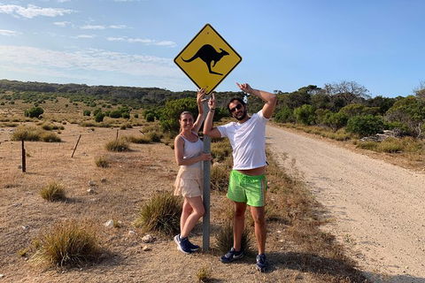 Kangaroo Island 4WD Tour - Dudley Peninsula - South Australia Travel 0