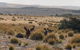 Kangaroo Island 4WD Tour - Dudley Peninsula - thumb 6