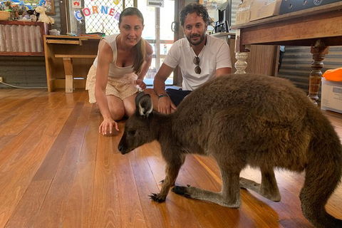 Kangaroo Island 4WD Tour - Dudley Peninsula - South Australia Travel 2