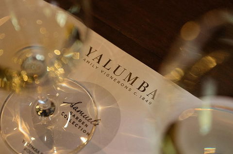 Yalumba Unlocked - South Australia Travel 3