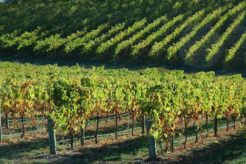 Adelaide Hills Wineries & Hahndorf - South Australia Travel 10