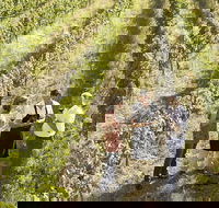 Beyond The Velvet Rope - Behind the Scenes Tour - South Australia Travel