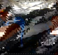 Barossa Rally School Hotlap Ride in a Rally Car 3 Laps - South Australia Travel