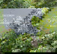 Yalumba Nursery  Grenache Discovery Tour  Platter Lunch - South Australia Travel